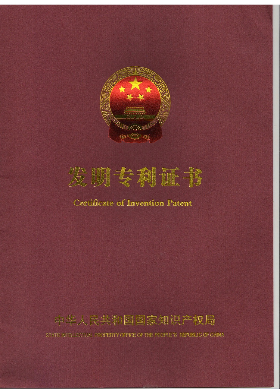 17一种潜液泵控制系统--发明专利2
